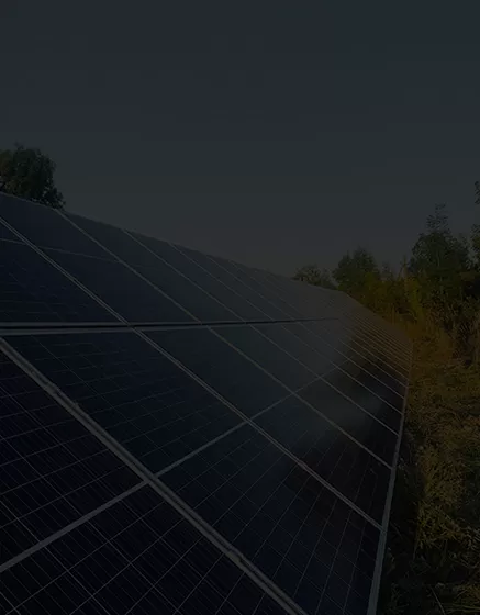 24/7 Zgłaszanie błędów na stronie internetowej