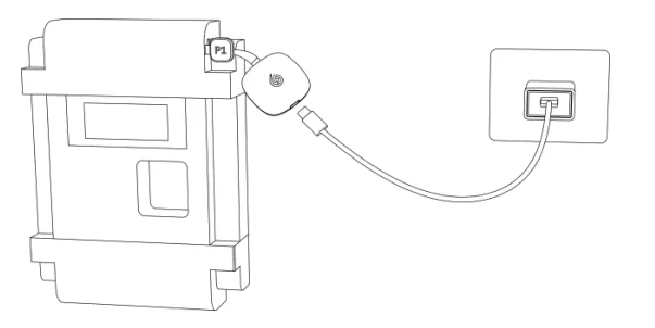 How to Use the P1 Meter Reader? How to Use the P1 Meter Reader?